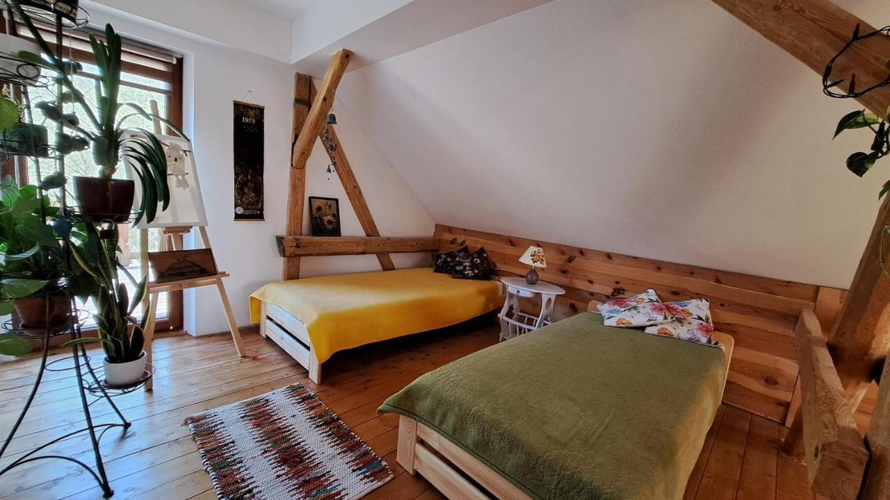 Ostoja Lesna Cisza Apartment *