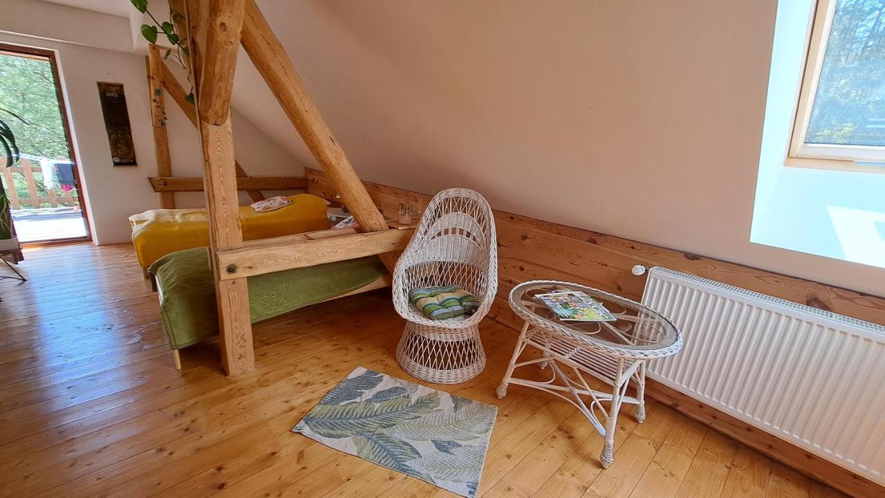 Apartment Ostoja Lesna Cisza