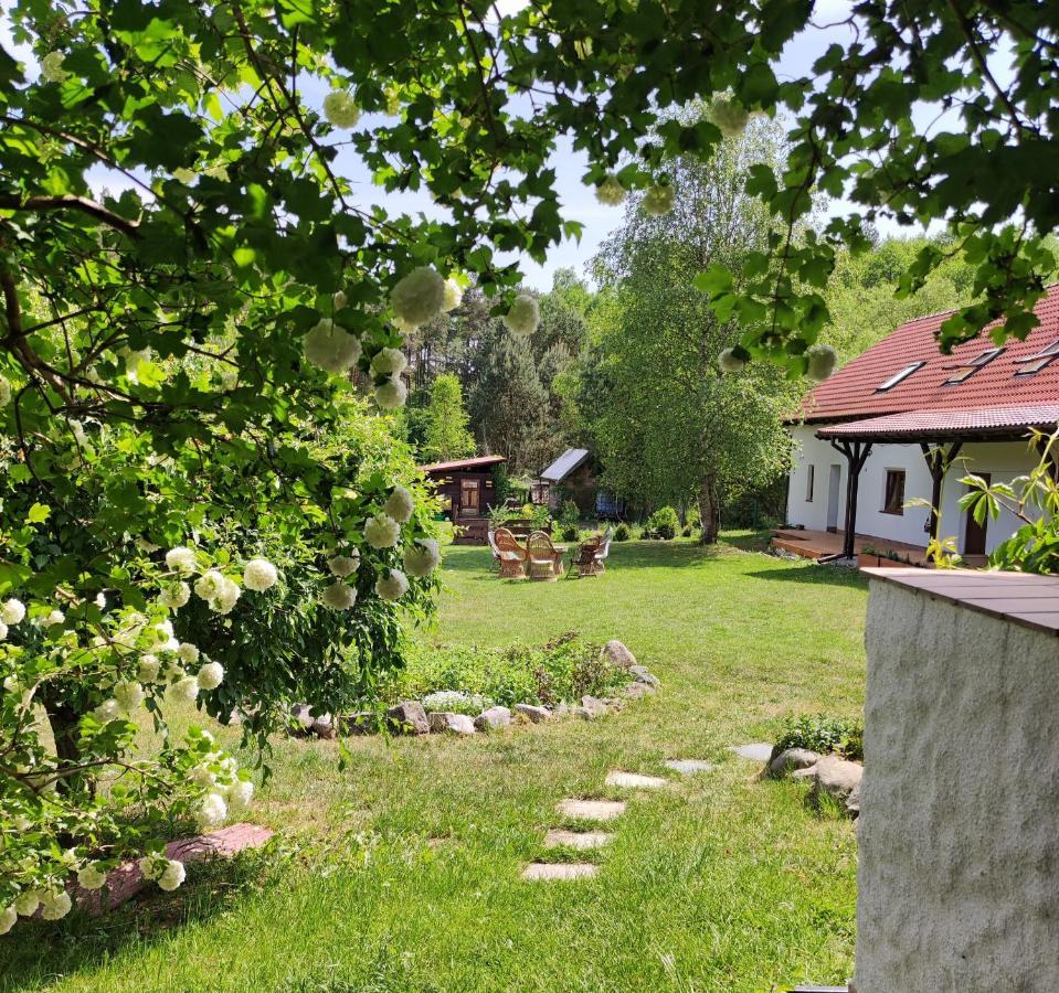 Apartment Ostoja Lesna Cisza *